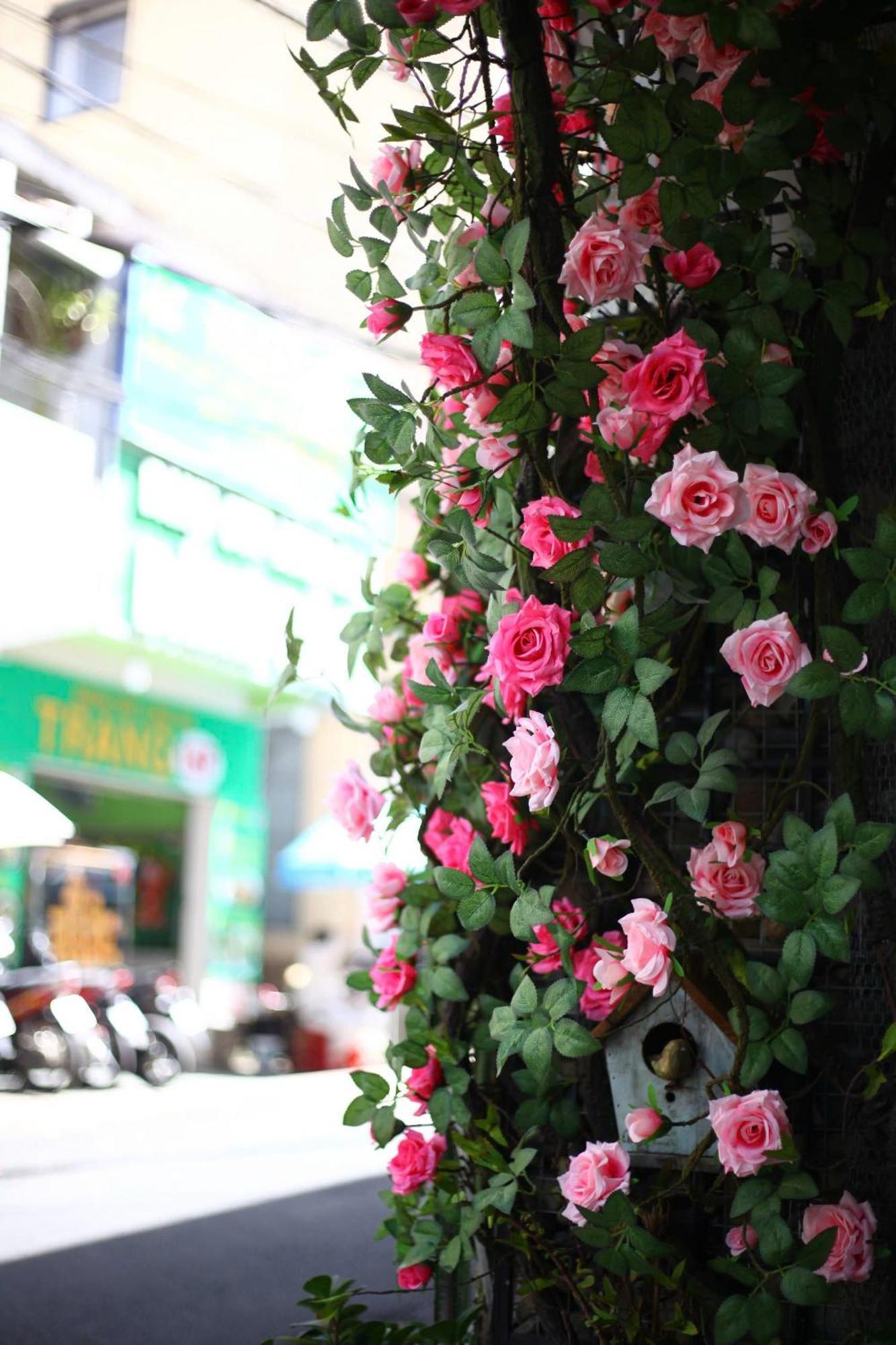 Ruby Rose House Hotel Dalat Bagian luar foto
